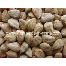 Sweet Almond (longwangmao 700 PCS/500g)